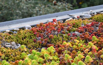 the cost of Bryn Gates green roof installation