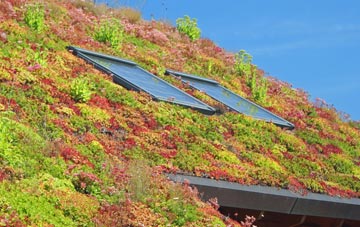 Bryn Gates living roof systems